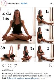 Pin By Mariapia Biscaro On Exercise Lotus Pose Yoga Lotus Pose Yoga Poses For Beginners