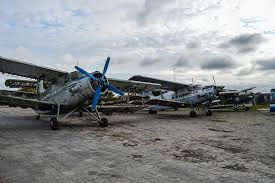 Девау»: от крыльев Кёнигсберга до ржавых АН-2 - МК Калининград