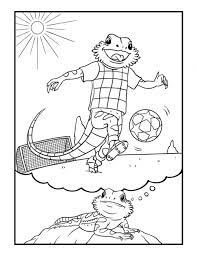 Kids loved dragonball z and beyblade that had many dragons. Bearded Dragon Daydreams Coloring Book Bilingual Monkeys