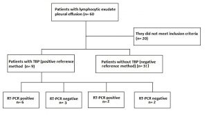 Memorable Pleural Effusion Flow Chart Patient Flow Chart For