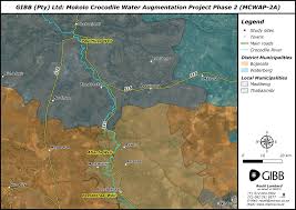 Image result for Ptycholobium plicatum