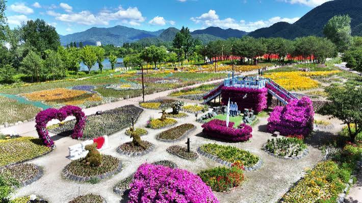 Colorful Garden 자라섬 꽃 페스타 照片 6