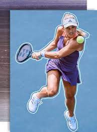 طلب أم الحدود Adidas Tennis Shirt Kerber Araristorante It