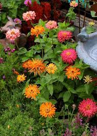 Pin On Garden