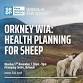 Orkney WIA: Health Planning for Sheep event image