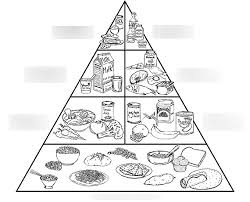 Learn vocabulary, terms, and more with flashcards, games, and other study tools. Health Science Ch 9 Food Guide Pyramid 8th Diagram Quizlet