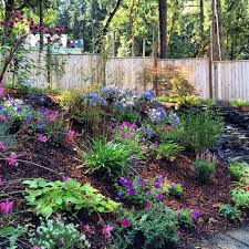Slope Garden In Pacific Nw Sloped Garden Northwest Landscaping Pacific Northwest Garden
