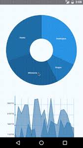 Animated Pie Chart React Native Www Bedowntowndaytona Com