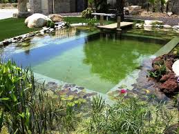 Pin En Plantas Jardin