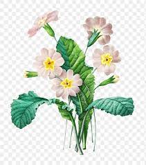 Common Primrose Flower Sticker Overlay Design Element Free Image By Rawpixel Com Gade Flower Illustration Vintage Flowers Illustration Flower Png