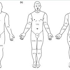 A The Rule Of Nines Diagram B Schema For Estimation Of