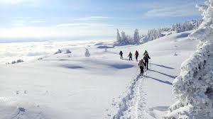 Est ce les flocons ou les débutants qui tombent ? Activites Hors Ski