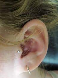 Pin On Tragus Piercings