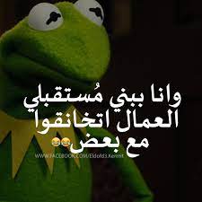 pin on ضفدع