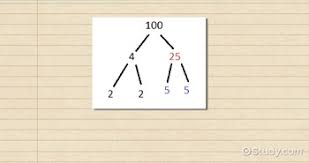 We did not find results for: What Is A Factor Tree Definition Example Video Lesson Transcript Study Com