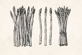 Una soffice focaccia è pronta per essere sfornata Asparagi Archeofood I Cibi E Le Ricette Della Storia Piu Antica