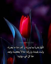 حكم كلماتي اقتباس كلام اقتباسات خواطر حب دعم حسابات دعم تعليقات اقتباسات احساس عتاب وهم plants