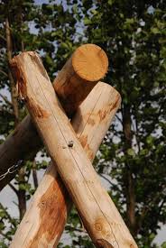 Robinier botaniste des rois de nom français : Piquets En Bois Pour Balancoire Piquets En Robinier