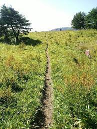 ロックガーデン 東おたふく山 観音山 鷲林寺 北山 六甲山 長峰山 摩耶山 yamap 登山 アウトドアの新定番 摩耶山 山 アウトドア