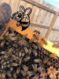 We would like to show you a description here but the site won't allow us. Gilbert Az Bee Removal Call Now 480 690 6295 For A Free Quote