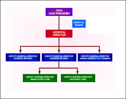 Squh Organisational Chart Download Scientific Diagram