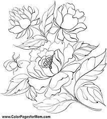 Pin By Vitalia On Cicek Drawings Flower Coloring Pages Flower Drawing