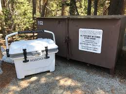 Igloo imx 24 qt cooler. Igloo Imx 24 Qt Cooler Camping World