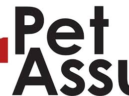 Get a free pet insurance quote today! The 9 Best Pet Insurance Of Plans 2021