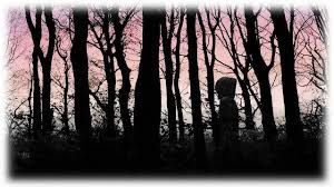 Pin On Folklore On Friday