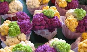 Growing Cauliflower The Coolest Cole Crop Epic Gardening
