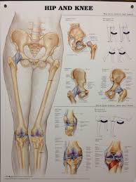 Pin On Medical