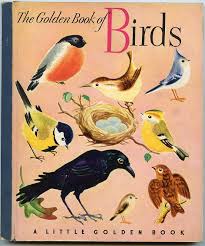 Bird Books For Kids Claudia S Illustration Blog Golden Birds Little Golden Books Vintage Children S Books Vintage Book Covers