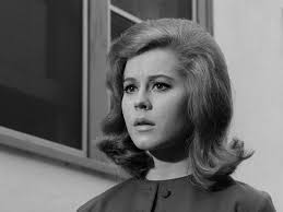 Perry Mason" The Case of the Festive Felon (TV Episode 1963)