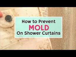 How To Prevent Mold On A Shower Curtain Cleaning Curtains Shower Mold Plastic Shower Curtain