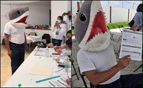 Generally depicted as a gray shark in full profile facing left, as a tiger, bull, or great white shark hunting in the water. Mufwzxbi1vpfsm
