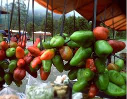Cabai Gendot Si Super Pedas Dari Dataran Tinggi Dieng Cabai Buah Tekstur