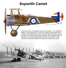Otherwise, your favorite search engine will lead to a ton of these. 180 Sopwith Ideas Ww1 Aircraft Biplane Ww1 Airplanes