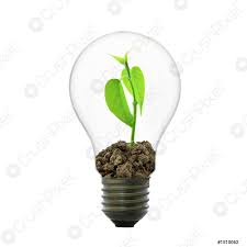 Small Plant In Light Bulb Stock Photo Crushpixel