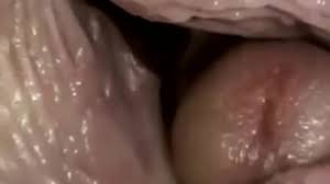 Raw X-Ray Hentai Deep Creampie - Cum Inside for Intense Experience