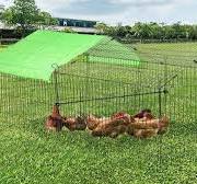 construyendo un gallinero Archives - VEVOR Blog
