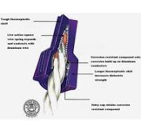 Ideal Large Purple Aluminum to Copper Wire Connector (2-Pack ...