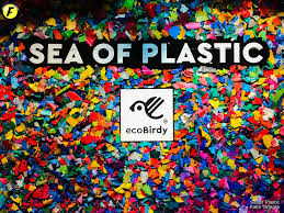 Image result for sea of plastics ecobirdy