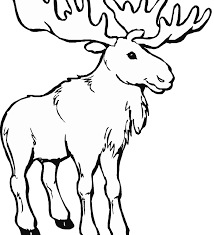 We did not find results for: Coloring Pages Moose Coloring Home