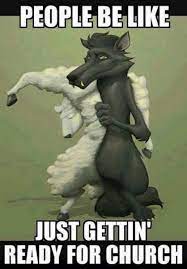 Wolf In Sheeps Clothing Share Its Funny
