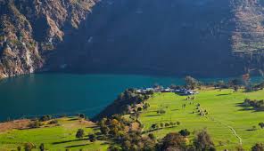 Image result for dalhousie images