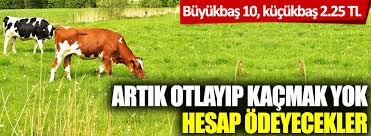 Artik Otlayip Kacmak Yok Hesap Odeyecekler