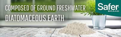 Other diatomaceous earth uses for dogs. Amazon Com Safer Brand 51704 Food Grade Diatomaceous Earth 4 Lb Garden Outdoor