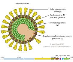 Nov today podcast nov today podcast. Virus Pathogen Database And Analysis Resource Vipr Coronaviridae Genome Database With Visualization And Analysis Tools