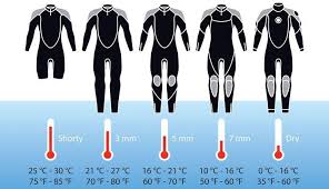 Infographic To Help You To Choose Which Wetsuit To Bring In