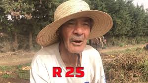 منزلي و افتخر